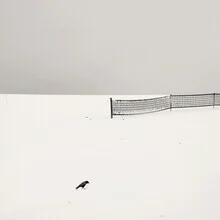 Fotokunst von Lena Weisbek: ein Vogel fliegt durch eine winterliche Landschaft