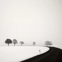 Photo art by Lena Weisbek: snowy rural road in winter with trees