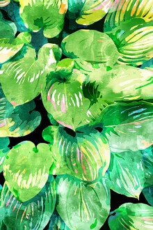 Colorful wall art by Uma Gokhale: tropical plants in the rain