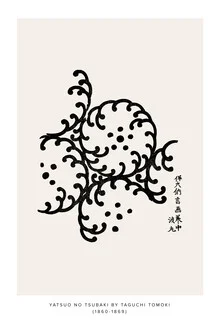 Taguchi Tomoki: Yatsuo no tsubaki 12 - Fineart photography by Japanese Vintage Art