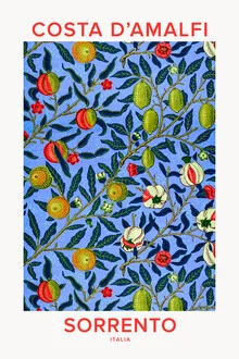 Illustration by Typo Art: Sorrento with Mediterranean charm and soft colors
