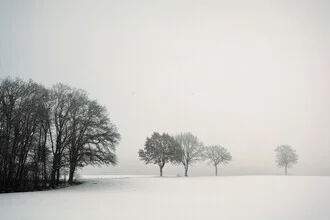 Photo art by Lena Weisbek: serene winter day in a forest with snow-covered trees