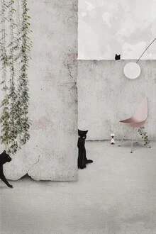 Illustration by Adriana Pascale: a cat sits on a chair in a ruin.