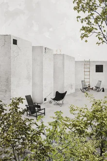 Illustration by Adriana Pascale: modern architecture featuring plants and a black cat