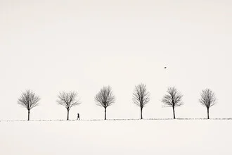 Photo art by Lena Weisbek: tranquil alley in a winter landscape