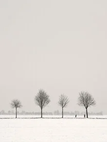 Photo art by Lena Weisbek: winter walk through a snow-covered forest.