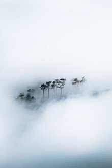 Sergej Antoni, The Frame - Portugal, Europe)