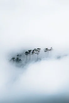 Der Rahmen - fotokunst von Sergej Antoni