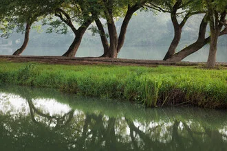 Photo art by AJ Schokora: serene riverside scene with lush trees