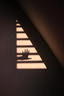 Abstract photo art featuring shadows and windows during golden hour