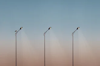 Fotokunst von AJ Schokora: Stadtlandschaft mit einem Vogel im Sonnenuntergang