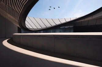 Photo art by AJ Schokora: geometric city view in Shanghai with birds in the sky