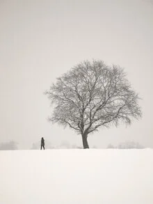 Photo art by Lena Weisbek: winter landscape with snow-covered trees