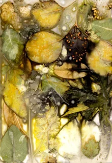 Photo art by Ulrike Kösterke: mystical plants in soft colors, creating a calming atmosphere