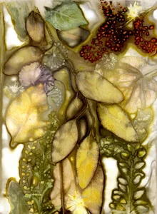 Photo art by Ulrike Kösterke: eucalyptus buds in gentle light