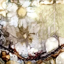 Photo art by Ulrike Kösterke: frosty plants with delicate blossoms and soft colors