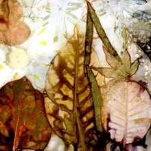 Photo art by Ulrike Kösterke: poetic depiction of leaves in calm light