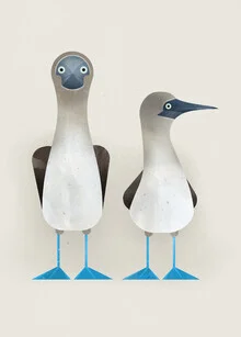 Blue Footed Boobies - Fineart photography by Dieter Braun