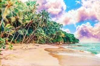 Wall art by Uma Gokhale: tropical coast landscape with palm trees and waves