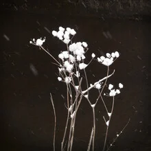 Photo art by Lena Weisbek: calm river with gently falling snow