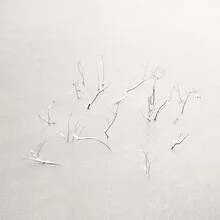 Photo art by Lena Weisbek: snowy landscape with minimal aesthetic
