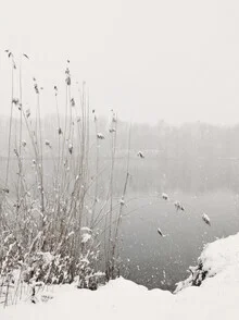 Photo art by Lena Weisbek: calm lake in snow with gentle fog