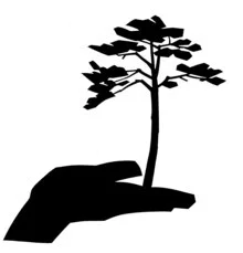 Illustration by Zenji Funabashi: friendship between a person and a tree.