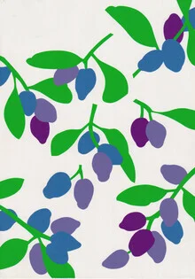 Illustration by Zenji Funabashi: fresh blueberries on a white background