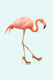 Illustration of a funny flamingo wearing stylish shoes, in soft colors