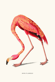 Jonas Loose, Boho Flamingo
