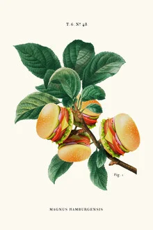 Illustration by Jonas Loose: playful depiction of a plant in burger shape