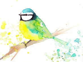 Illustration of a colorful bird flying in a cheerful spring landscape.