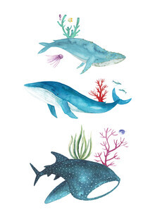 Marta Casals Juanola, Ocean life (Spain, Europe)
