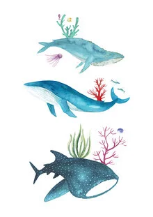 Wall art by Marta Casals Juanola: watercolor illustration of a whale in the ocean