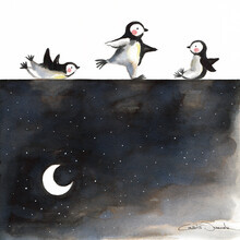 Marta Casals Juanola, Penguins - Spain, Europe)