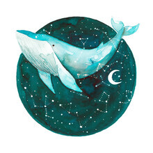Marta Casals Juanola, Cosmic Whale (Spain, Europe)