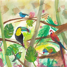 Marta Casals Juanola, Tropical birds (Spain, Europe)