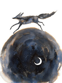 Marta Casals Juanola, Wolf and moon (Spain, Europe)