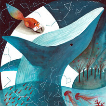 Marta Casals Juanola, Cosmic whale and red fox 2 (Spain, Europe)