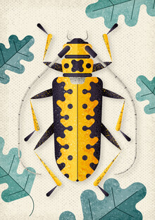 Adrian Bauer, It's not a bug, it's a feature
