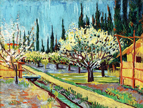 Art Classics, Vincent Van Gogh: Orchard Bordered by Cypresses - Netherlands, Europe)