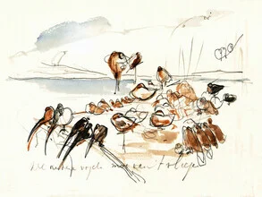 Illustration by Theo van Hoytema: birds receiving a king.