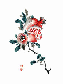Vintage Nature Graphics, Kōno Bairei: Granatapfel (Japan, Asien)