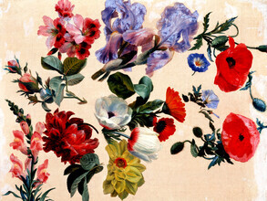Vintage Nature Graphics, Jacques-Laurent Agasse: Studien zu Sommerblumen (Frankreich, Europa)