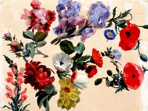 Wall art by Vintage Nature Graphics: studies of summer flowers in soft colors