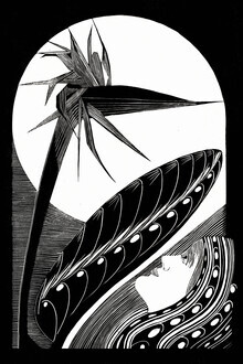 Art Classics, Samuel Jessurun de Mesquita: Strelitzia