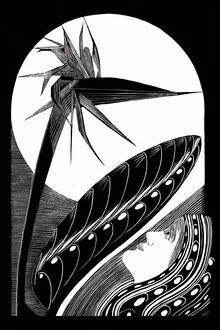 Wall art by Samuel Jessurun de Mesquita: vibrant Strelitzia plant illustration