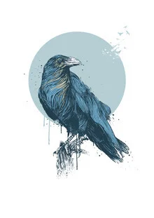 Illustration of a blue crow in a stylized circle, soft colors and clear lines.