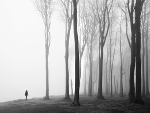 Nina Papiorek, Ghost Forrest #04 (Germany, Europe)