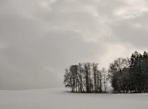Photo art by Lena Weisbek: snowy winter landscape with trees and clouds